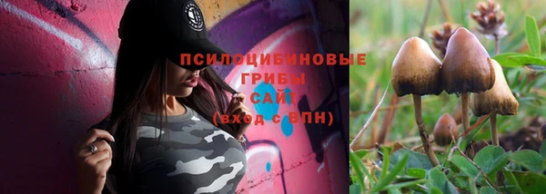 мдма Киреевск
