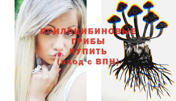 герыч Коряжма
